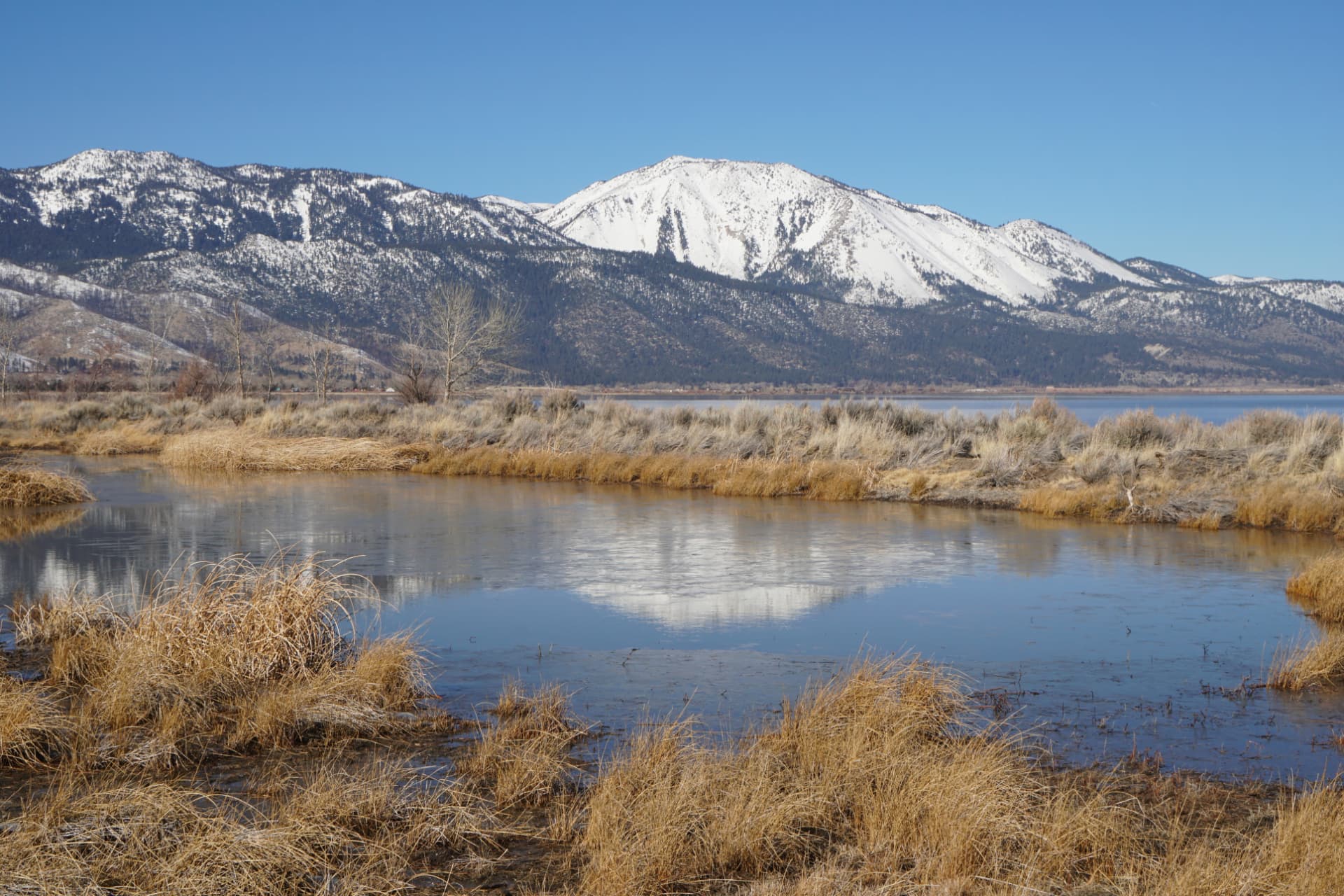 Snow-capped Slide Mountain reflected in the still water of Washoe Valley wetlands